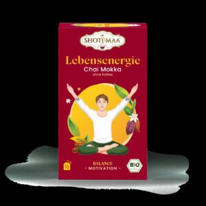 Ceai Shotimaa Balance Your Day - Life Energy - Chai Moka (fara cafea) bio 16dz