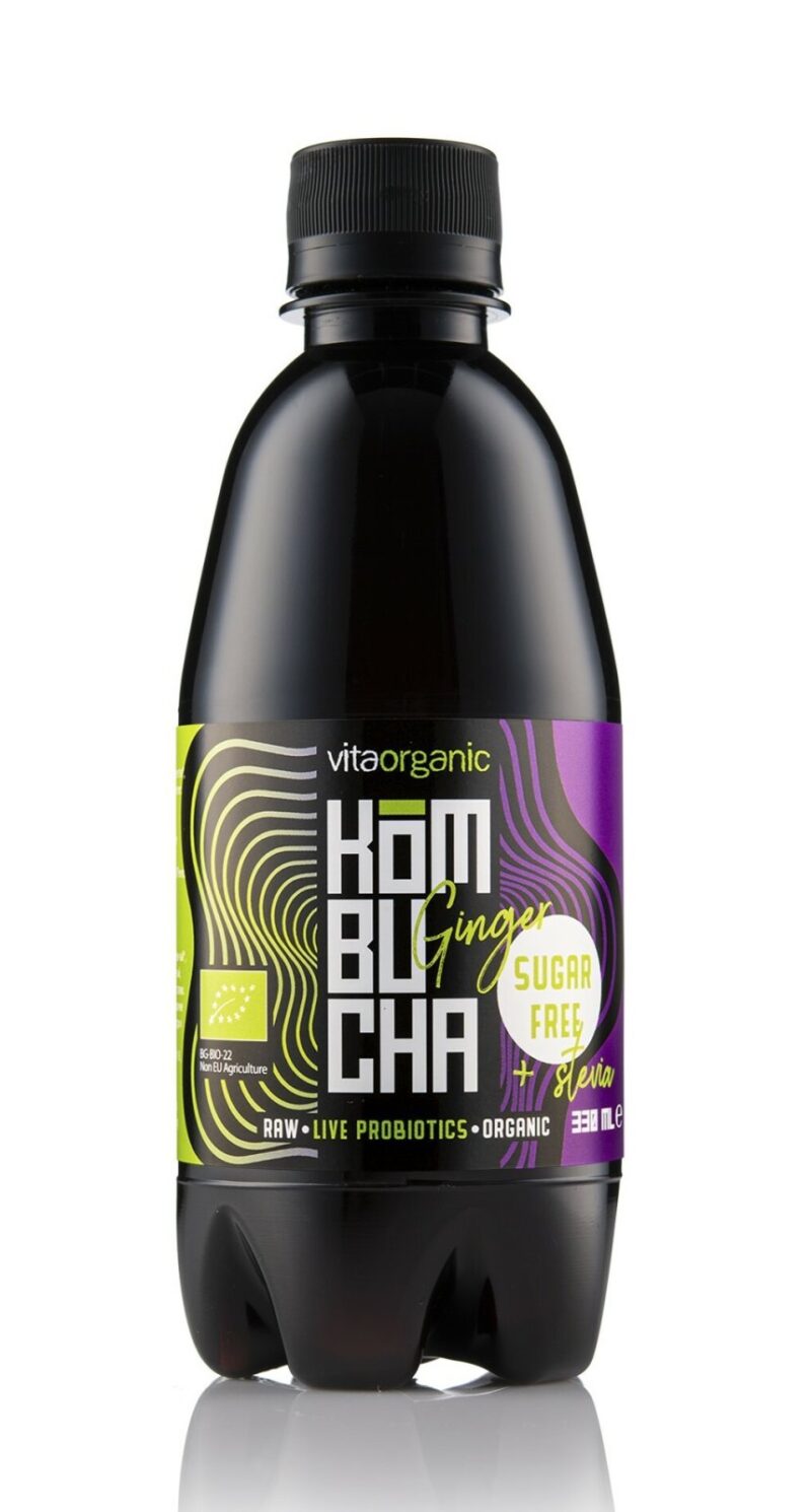 Kombucha cu ghimbir indulcita cu stevia bio 330ml Vita Organic Kombucha cu ghimbir indulcita cu stevia bio 330ml Vita Organic